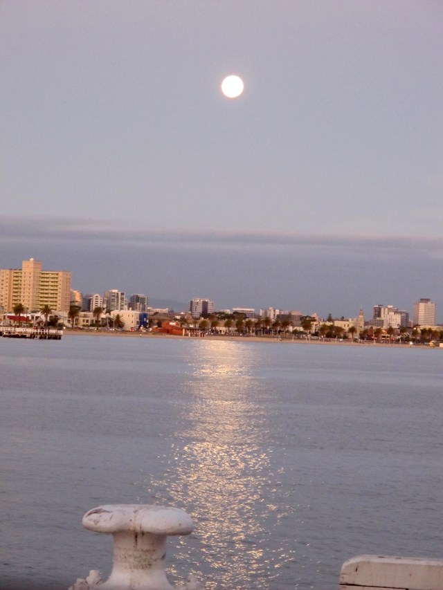 Tasmania 2015 - 1 of 5