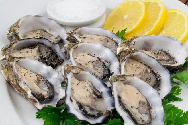 Oysters-Coffin-Bay
