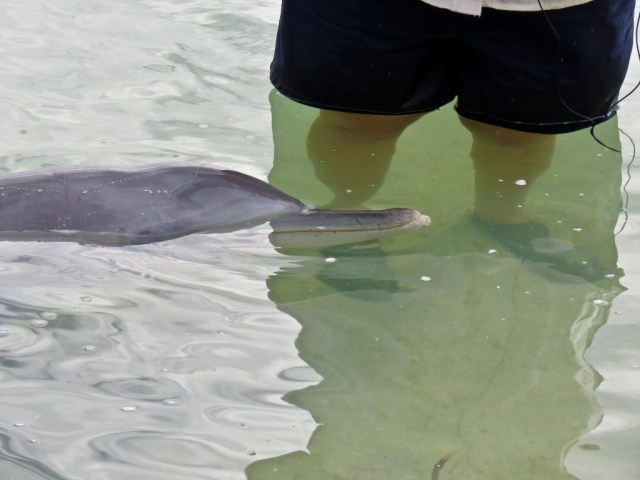 Bq6Zcw%tQma%XjSxcczPBw_thumb_497