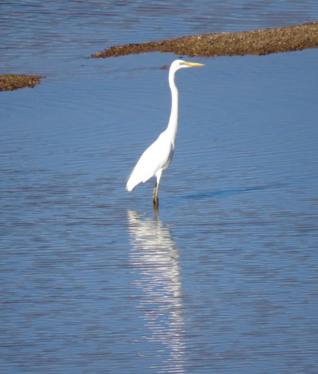 kQ8TI%9RRx6e1YjsHSKcTg_thumb_33d