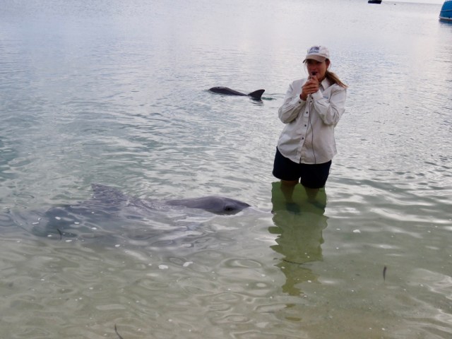 Ly5Q+3wSQPKqKSjWYjC0oA_thumb_49c