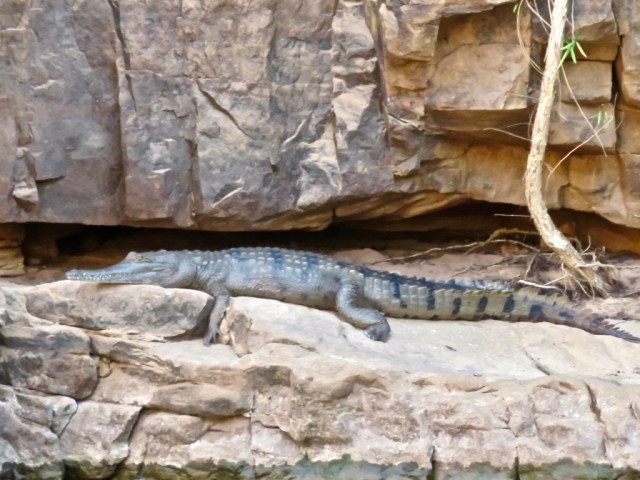 pOS0wdGVQAGTXu9Cba3Ziw_thumb_2da