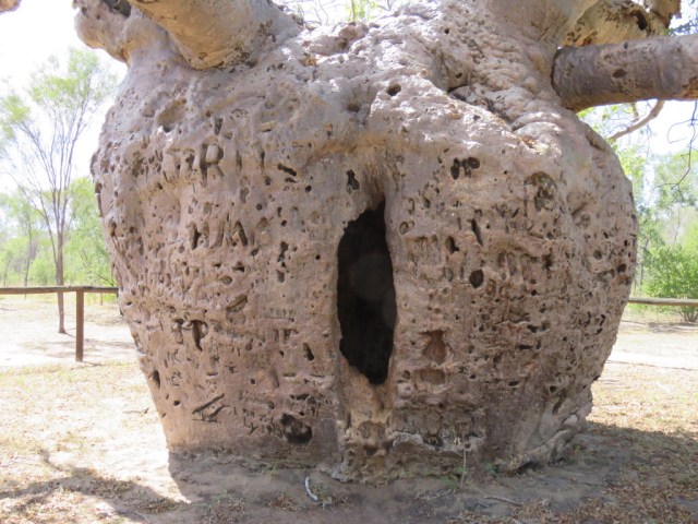 UNADJUSTEDNONRAW_thumb_3a8