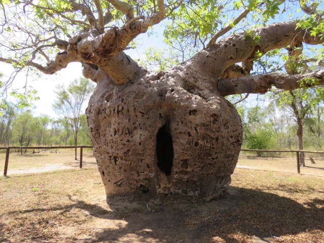 UNADJUSTEDNONRAW_thumb_3a9