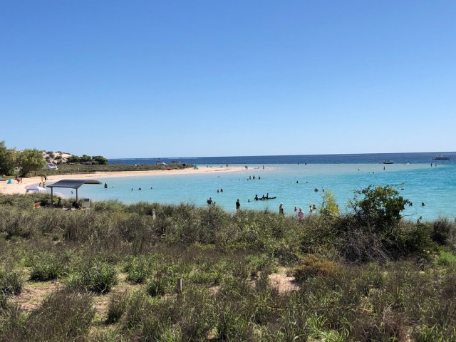 UNADJUSTEDNONRAW_thumb_45c