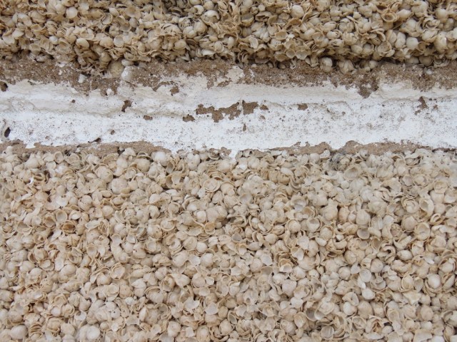 UNADJUSTEDNONRAW_thumb_4a7