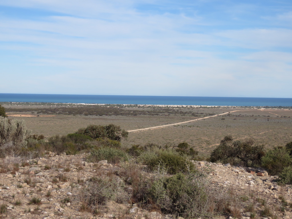 UNADJUSTEDNONRAW_thumb_7f8