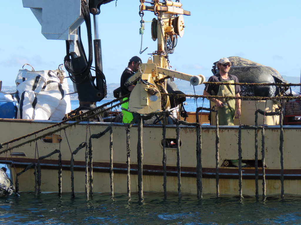 UNADJUSTEDNONRAW_thumb_890