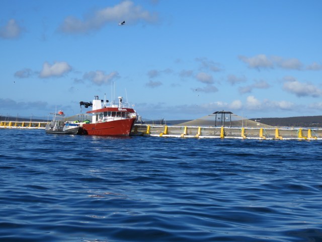 UNADJUSTEDNONRAW_thumb_891