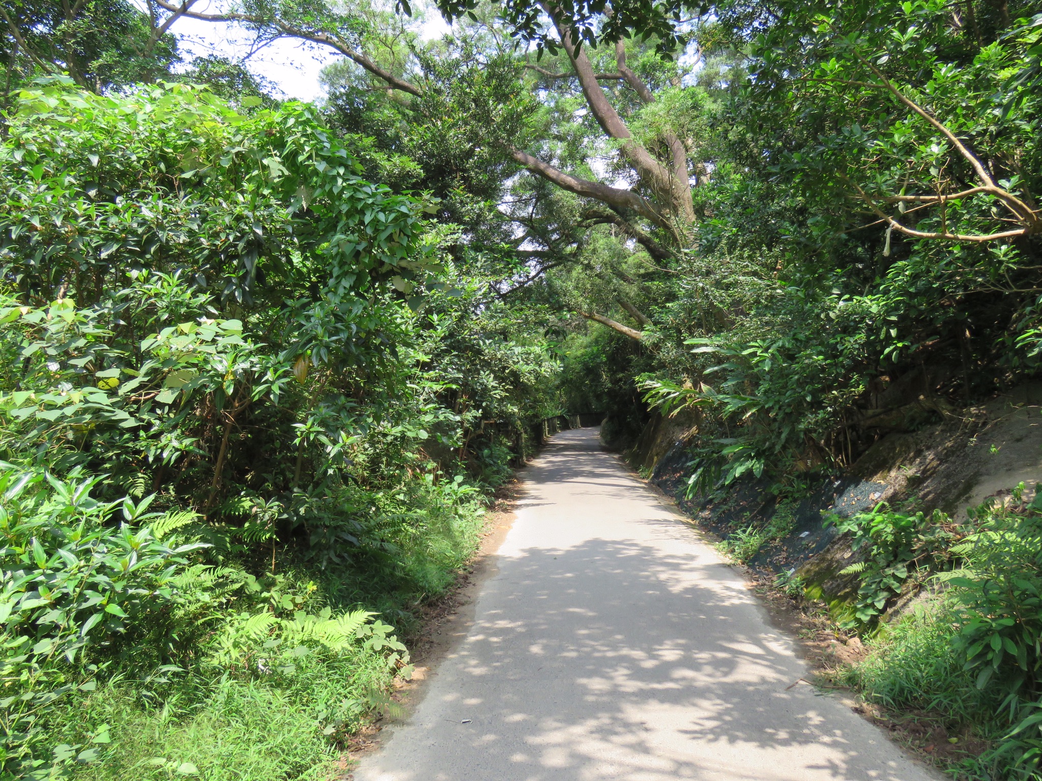 F2D49E2D-8366-4C87-80B0-04C90E7FEC8D